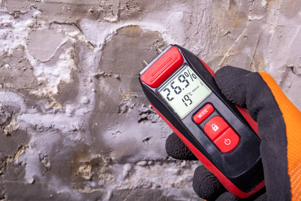 Best Black Mold Removal  in Eaton Rapids, MI