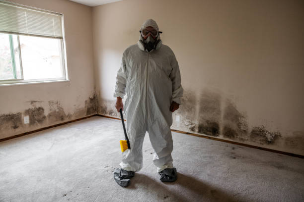 Home Mold Removal in Eaton Rapids, MI