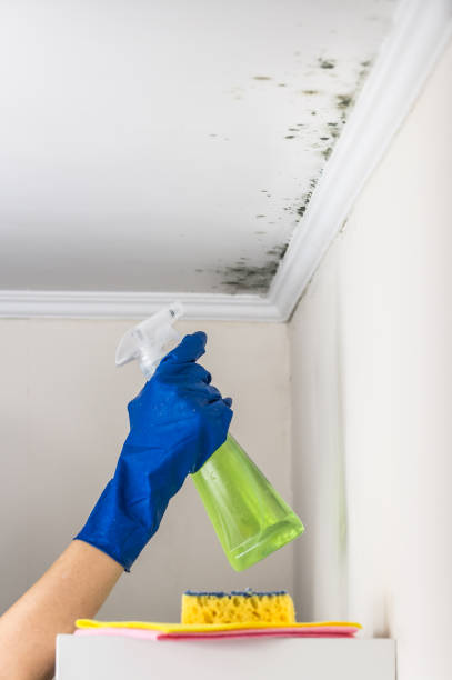 Best Mold Testing  in Eaton Rapids, MI